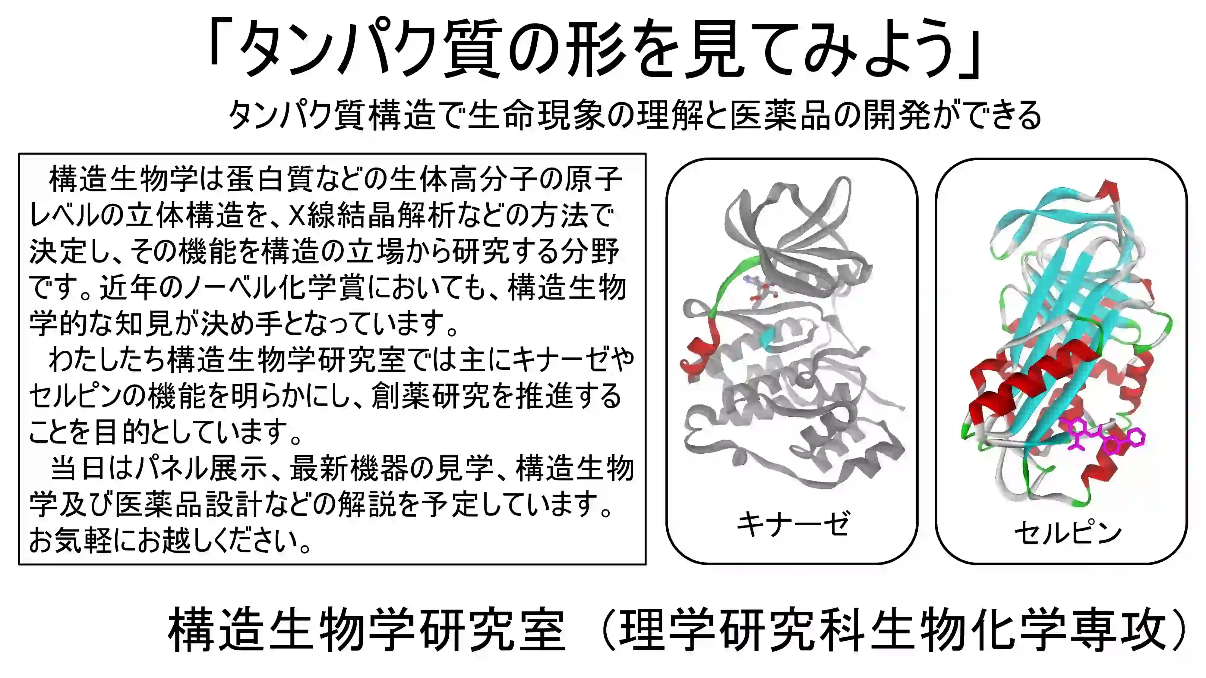 タンパク質の形を見てみよう