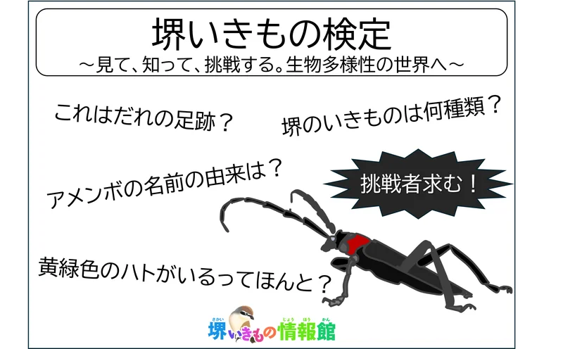 堺いきもの