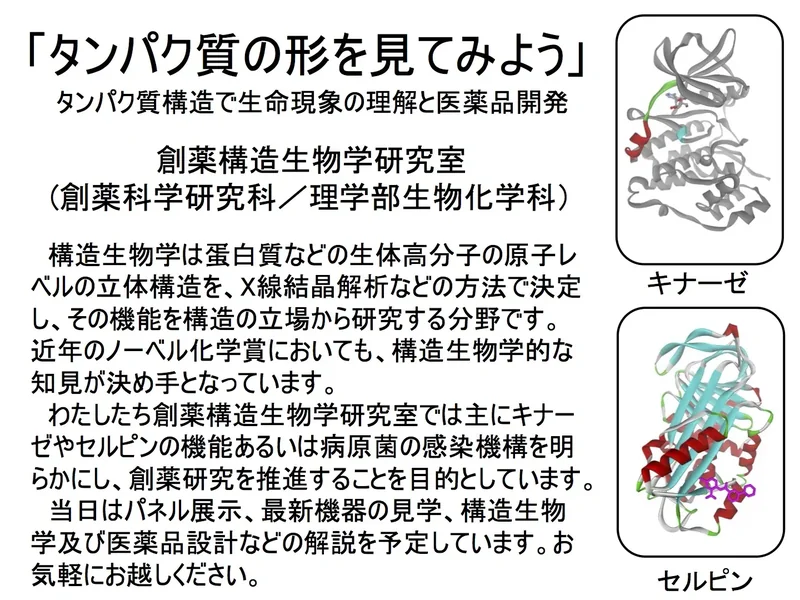タンパク質の形を見てみよう