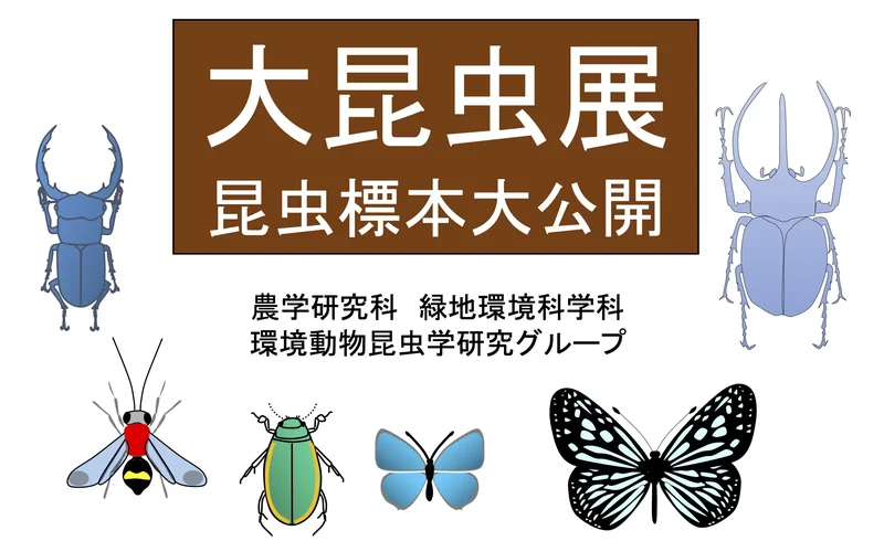 大昆虫展