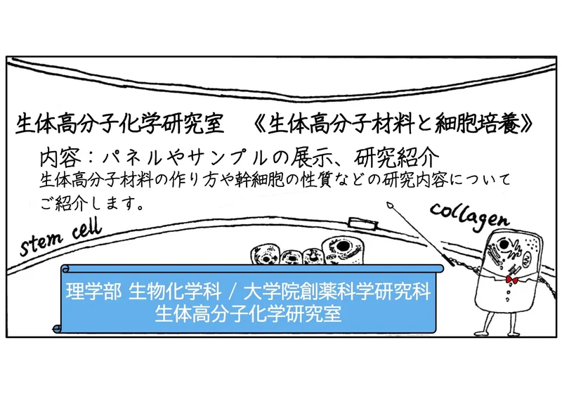 細胞と生体材料